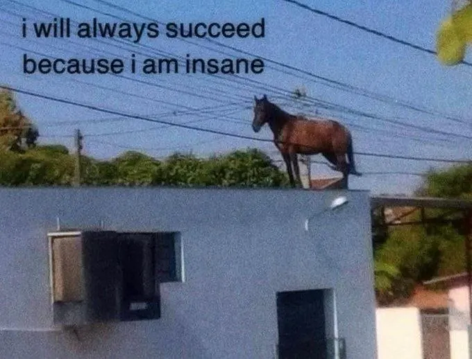Untitled meme