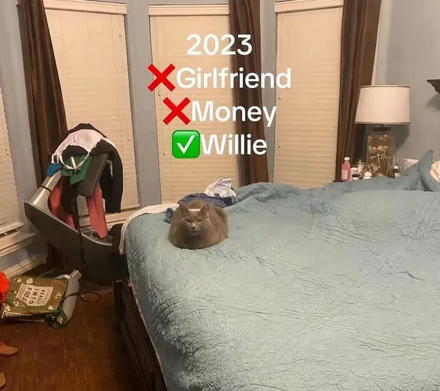 Untitled meme
