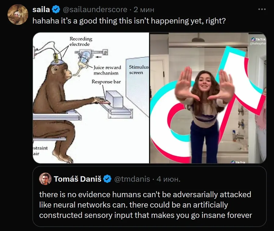 Untitled meme