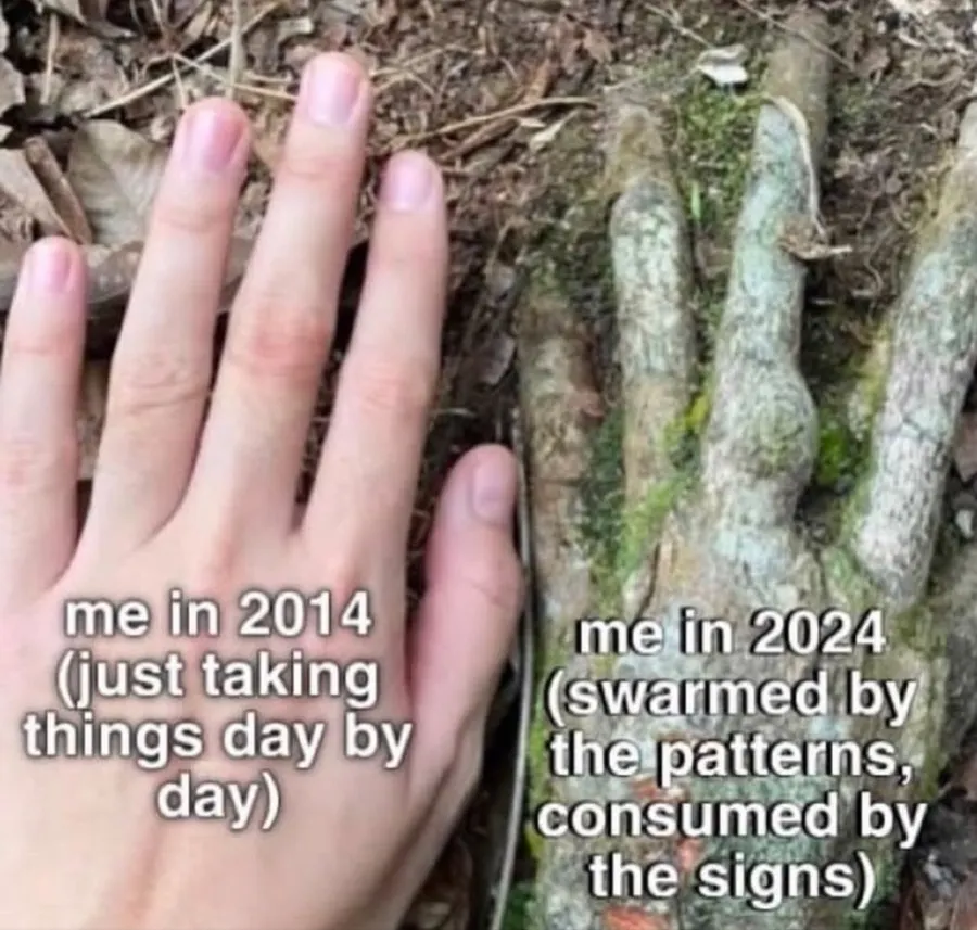 Untitled meme