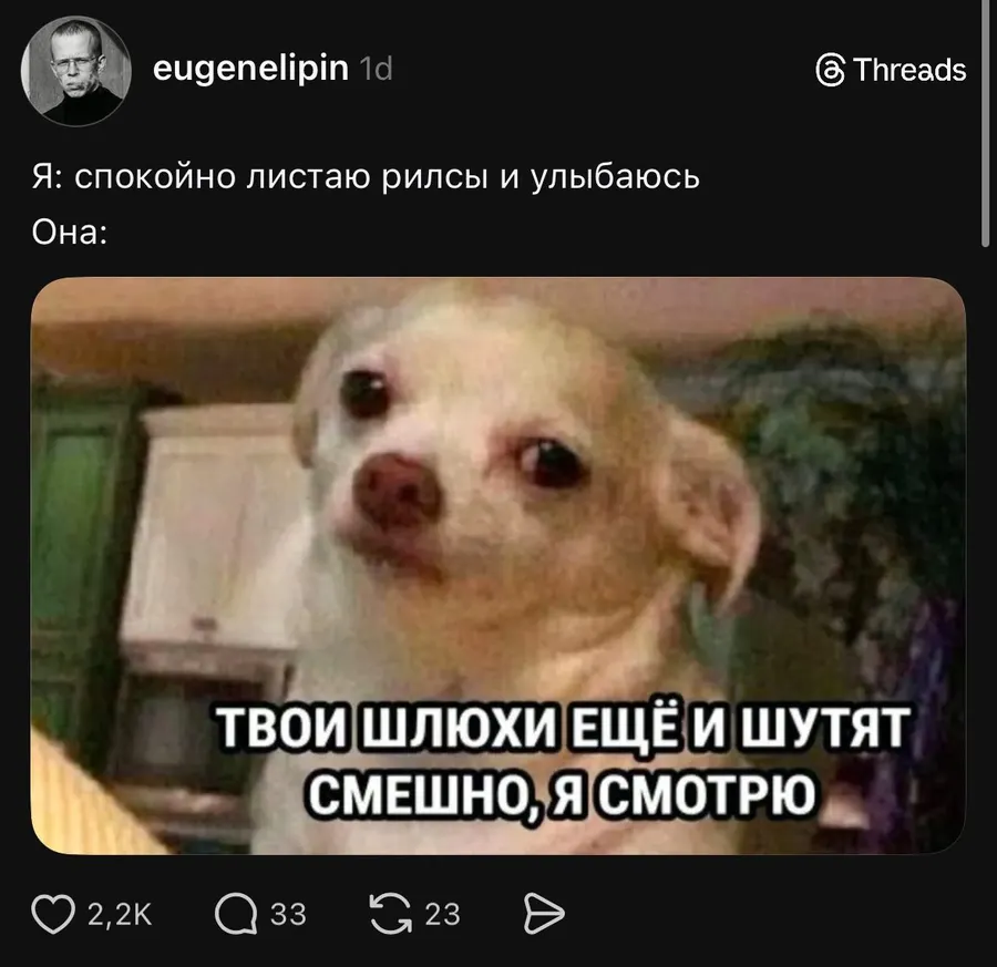 Untitled meme
