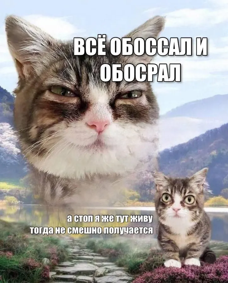 Untitled meme