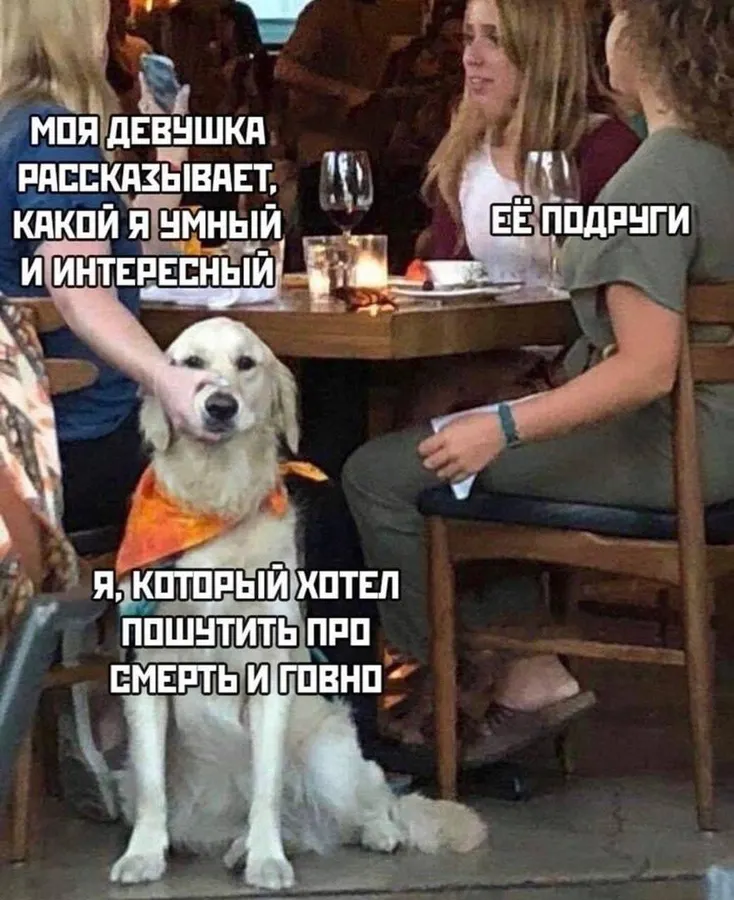 Untitled meme