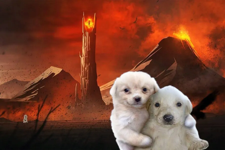 Untitled meme