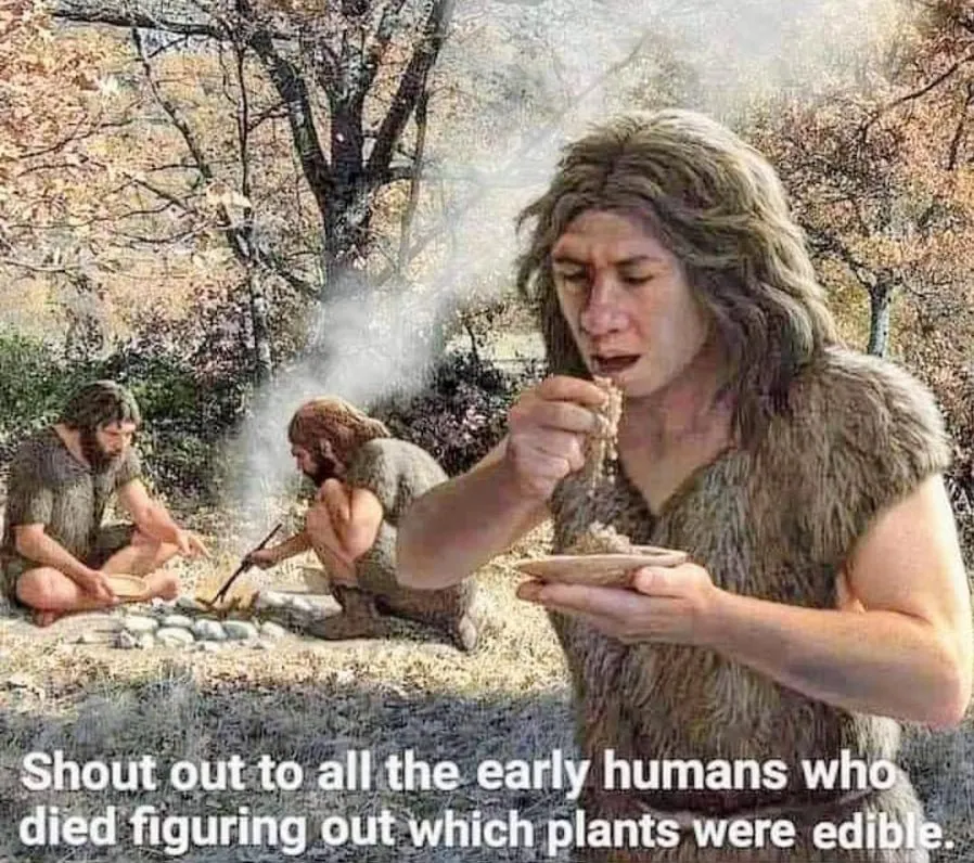 Untitled meme