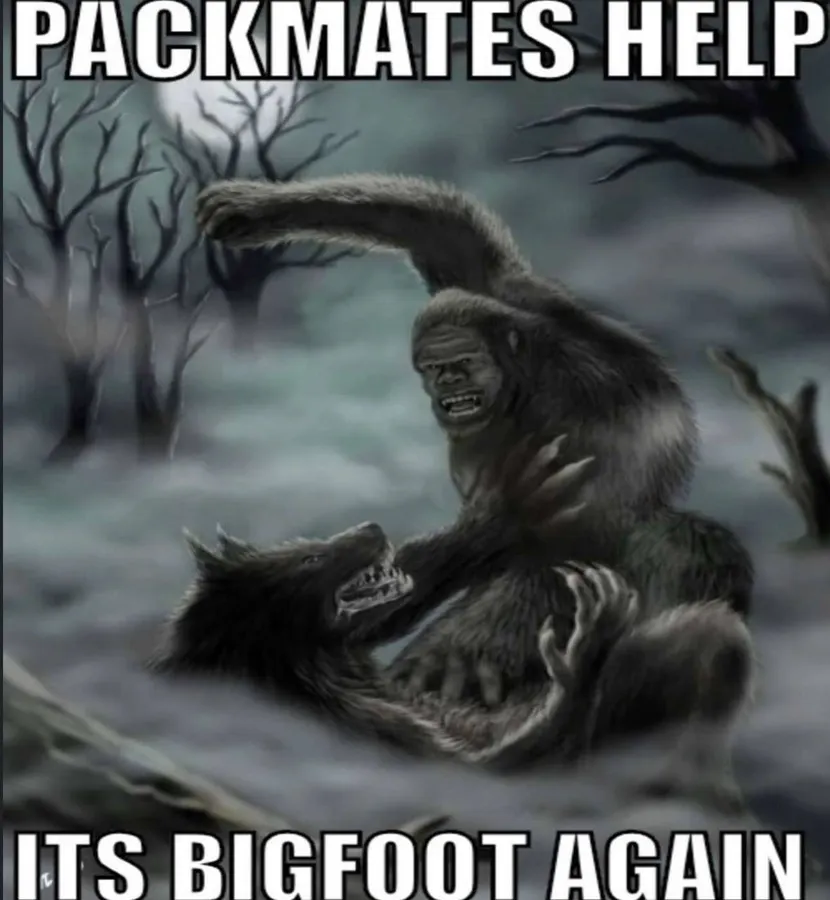 Untitled meme