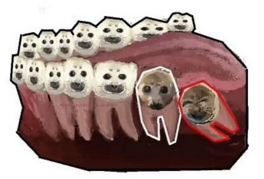 Untitled meme