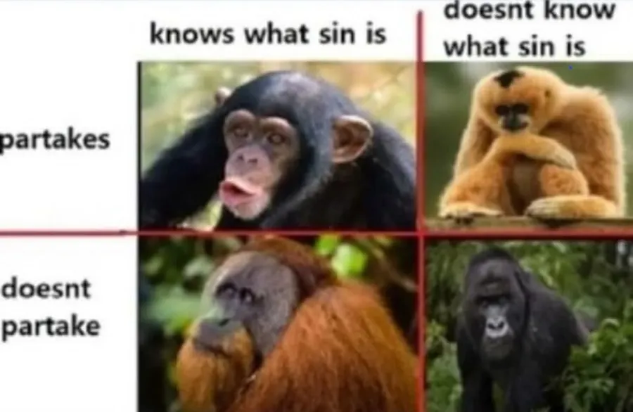 Untitled meme