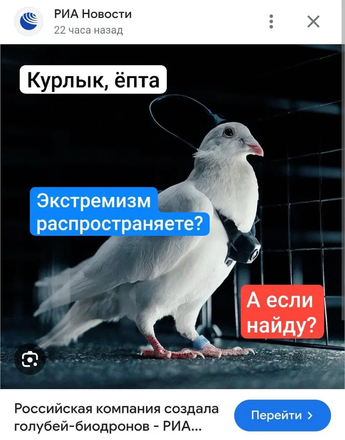 Untitled meme