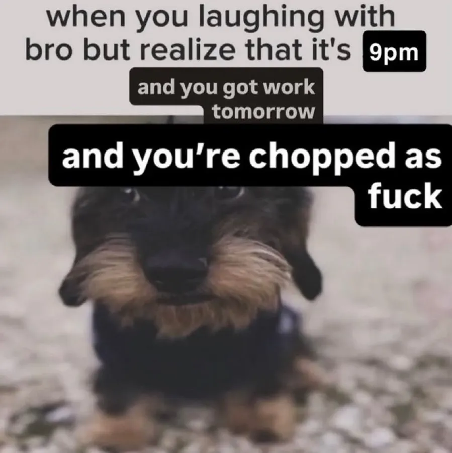 Untitled meme