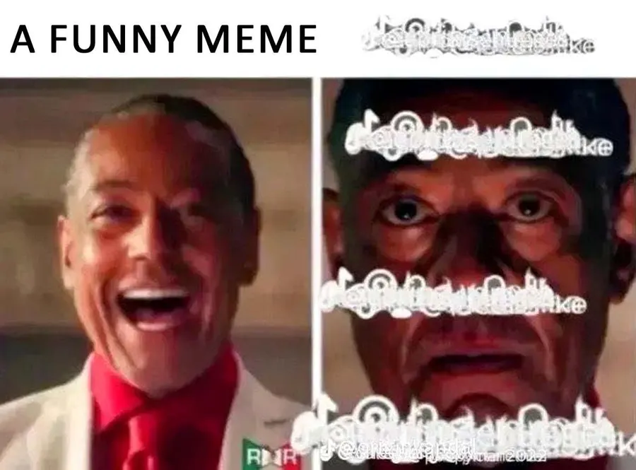 Untitled meme