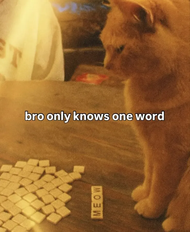Untitled meme
