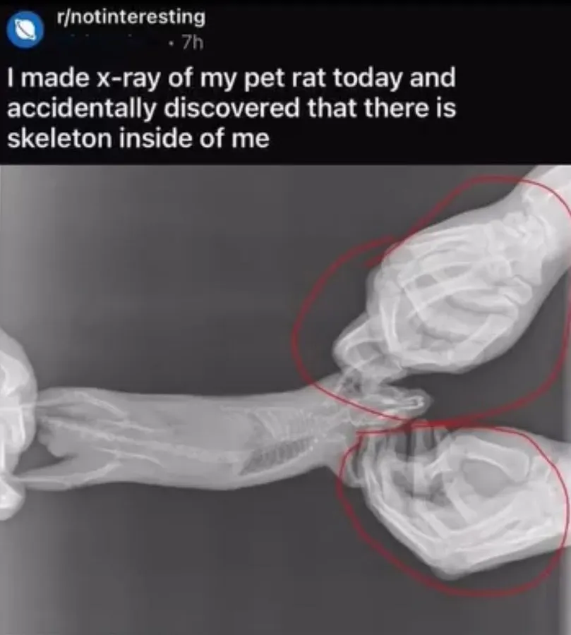 Untitled meme
