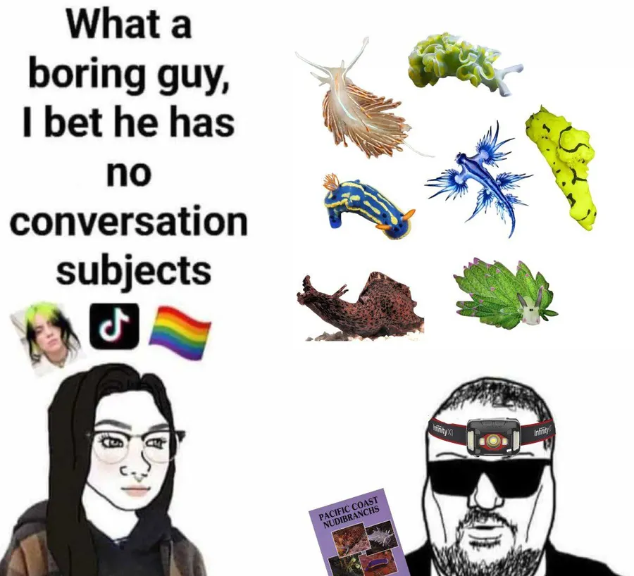 Untitled meme