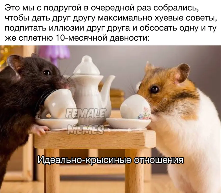 Untitled meme