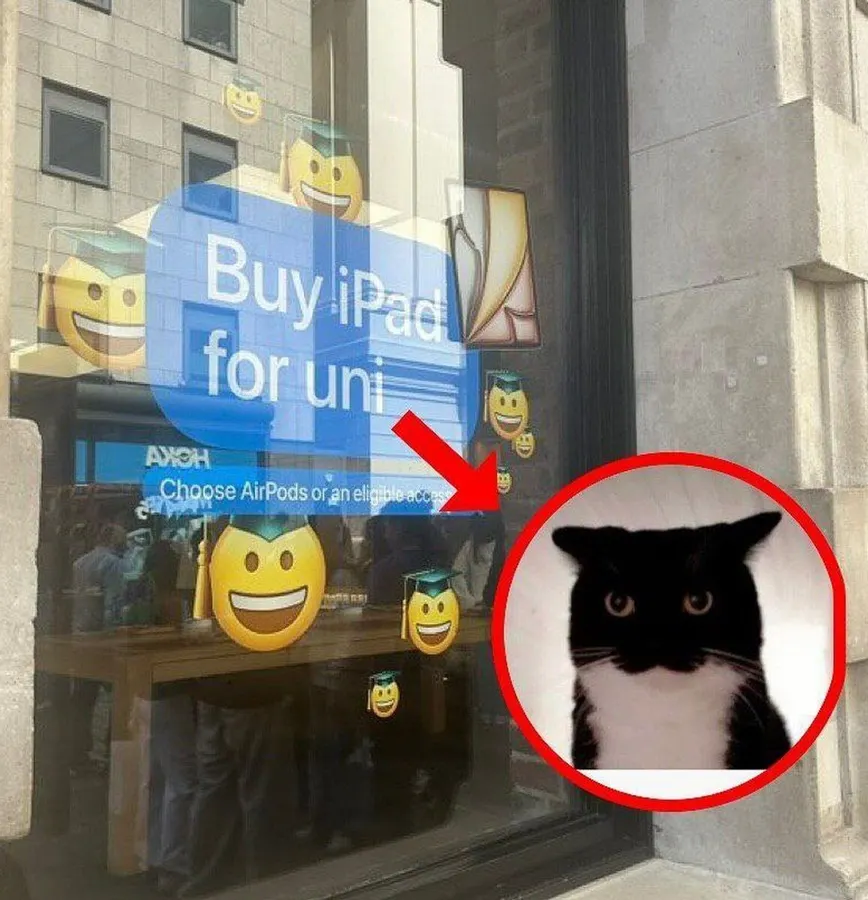 Untitled meme