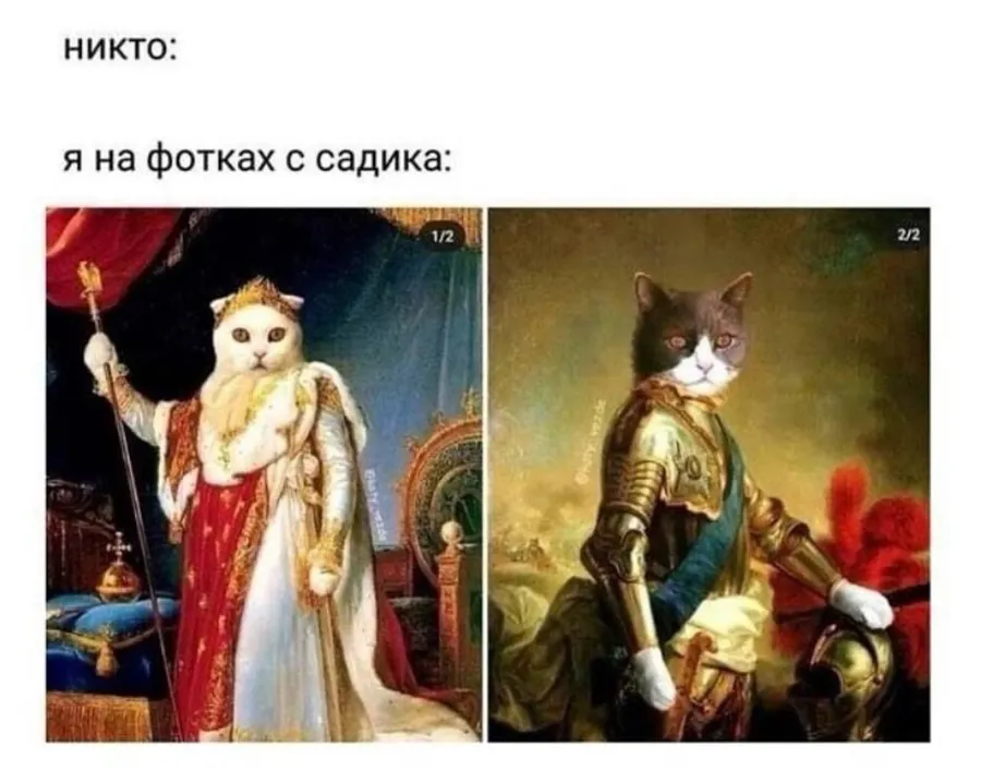 Untitled meme