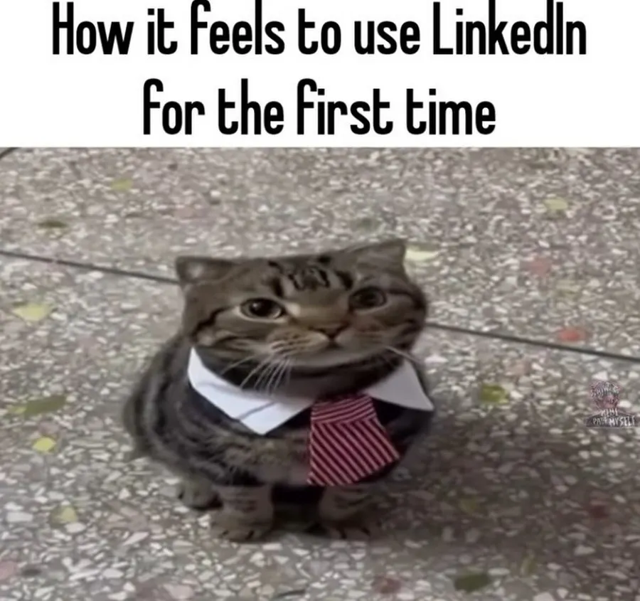 Untitled meme