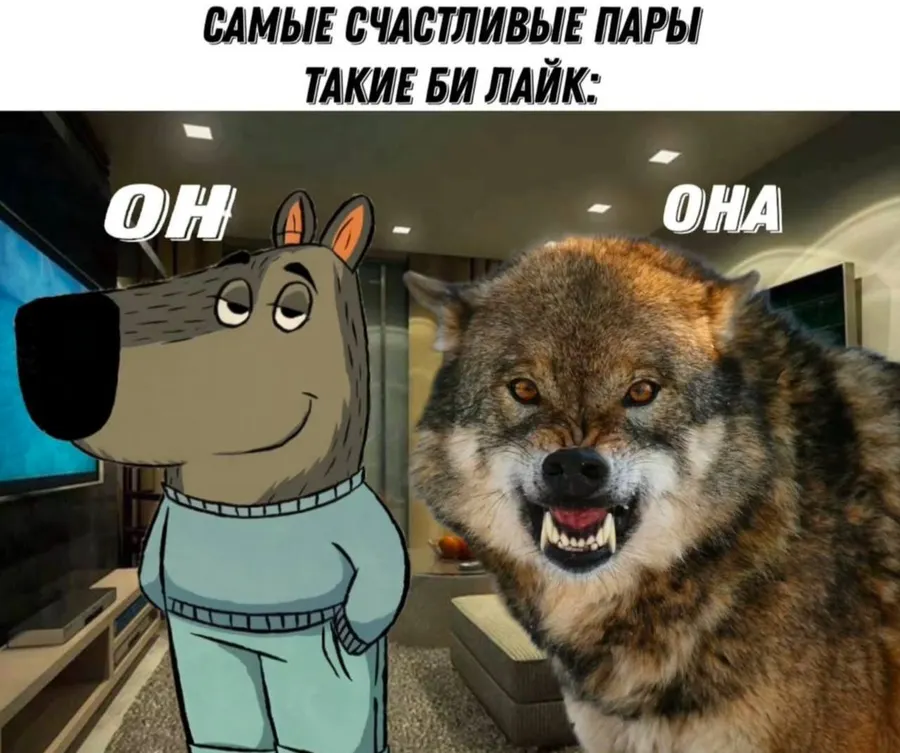 Untitled meme