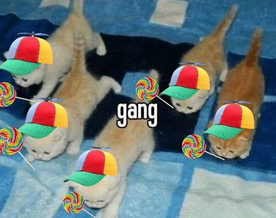 Untitled meme
