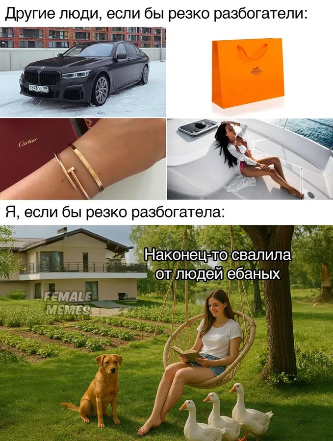 Untitled meme