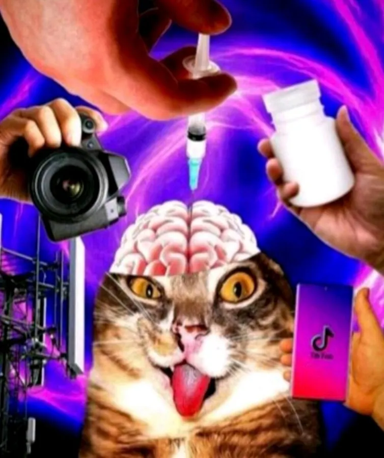 Untitled meme