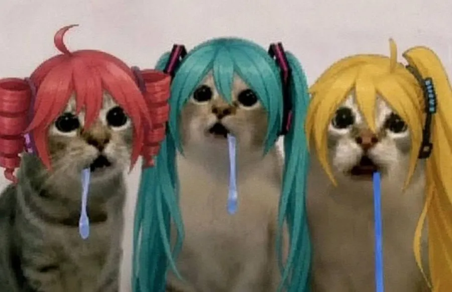 Untitled meme