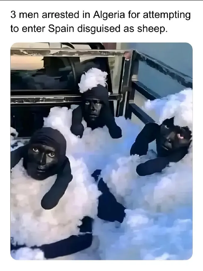 Untitled meme