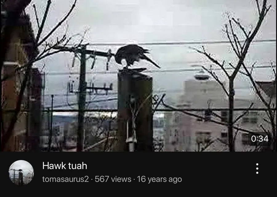 Untitled meme