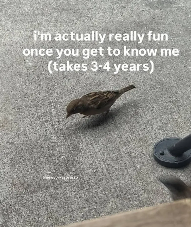 Untitled meme