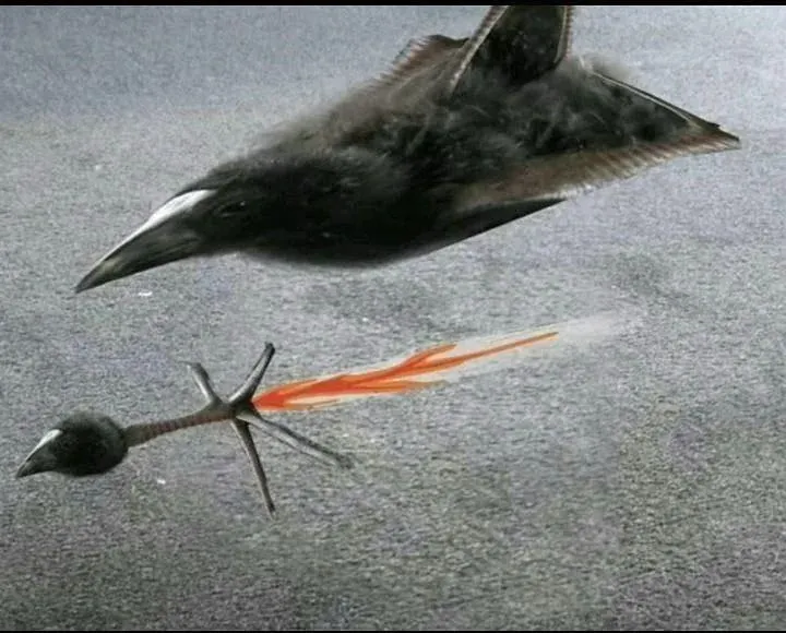 Untitled meme