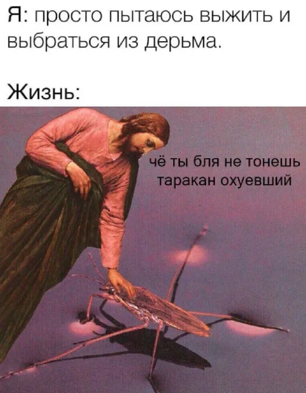 Untitled meme
