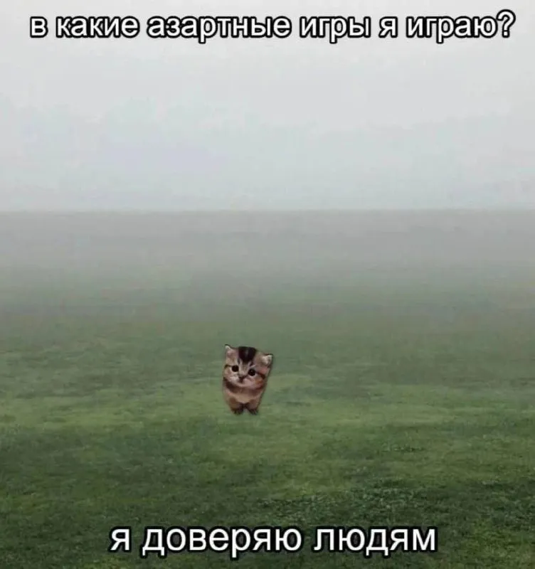 Untitled meme