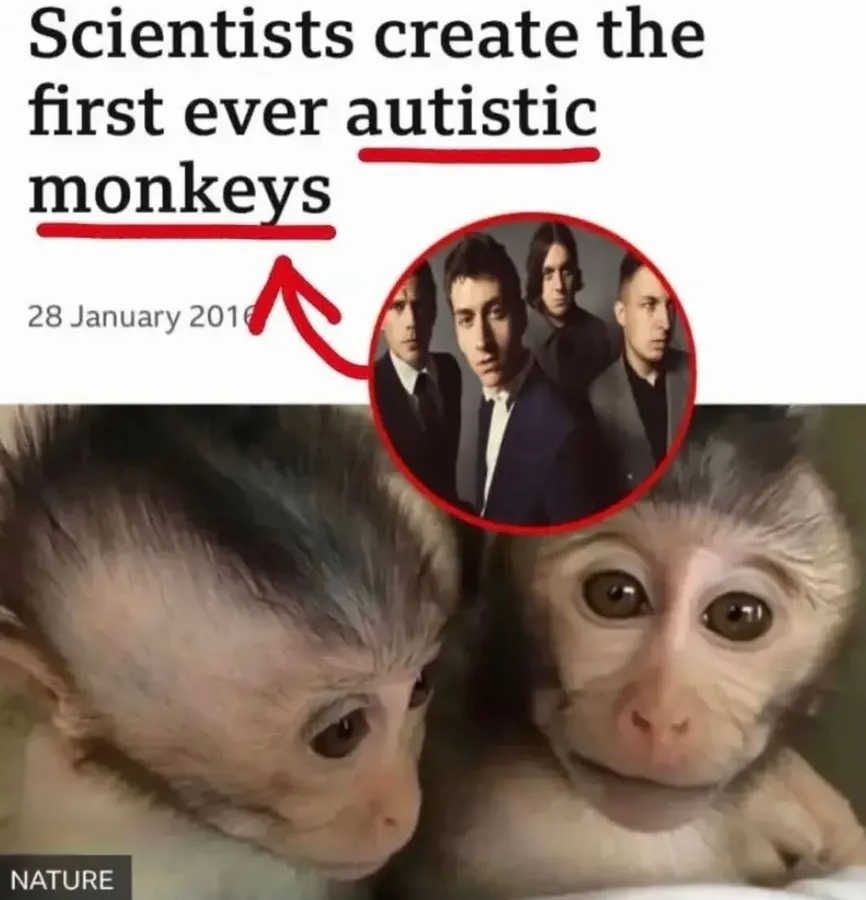 Untitled meme