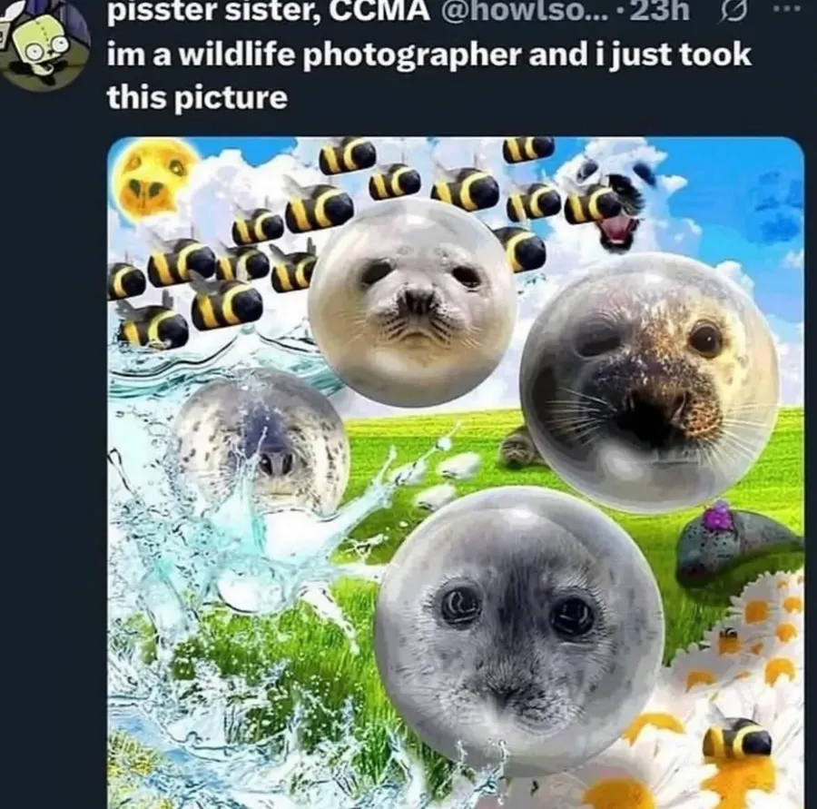 Untitled meme