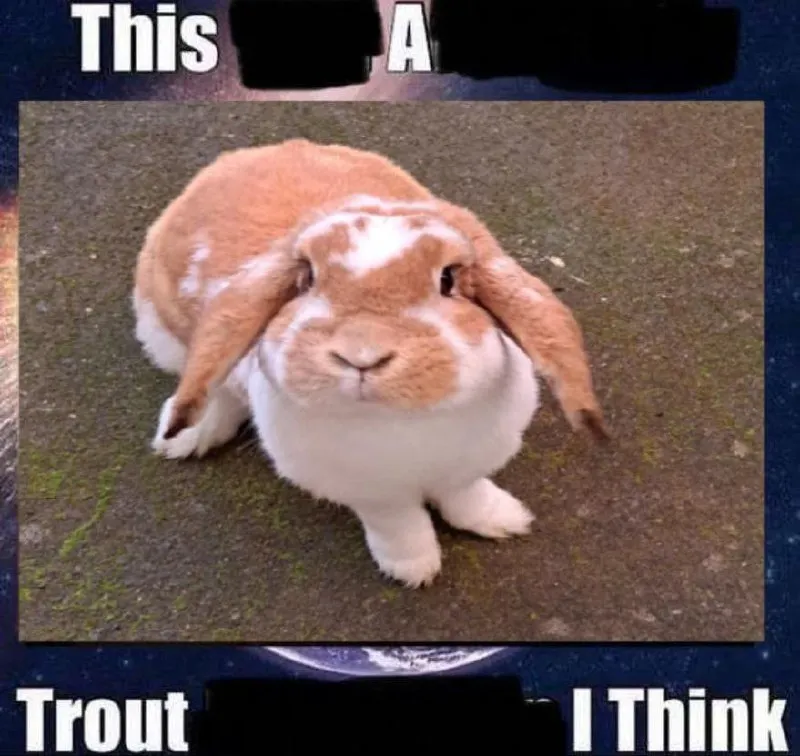 Untitled meme