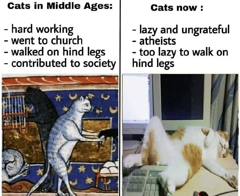 Untitled meme