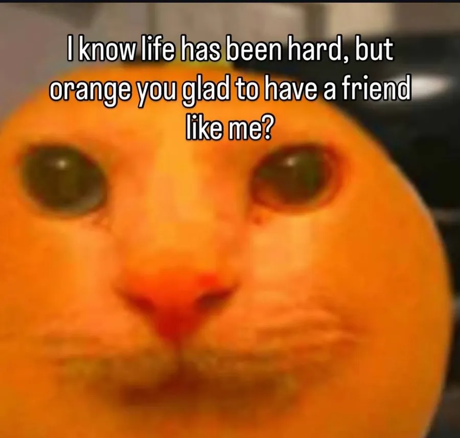 Untitled meme