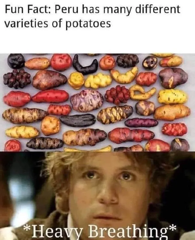Untitled meme