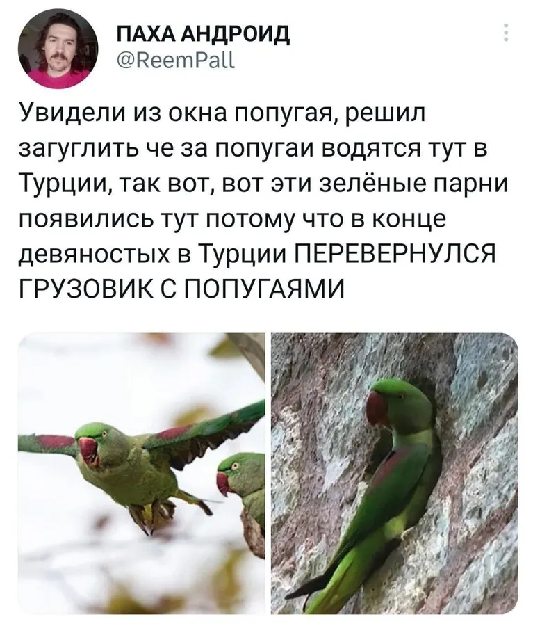 Untitled meme