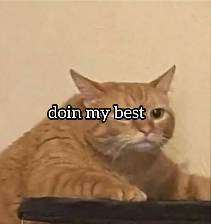 Untitled meme