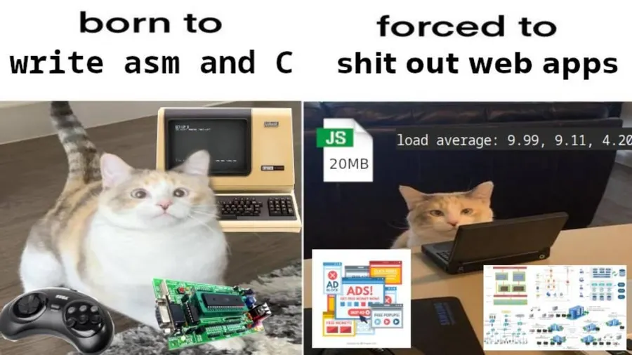 Untitled meme