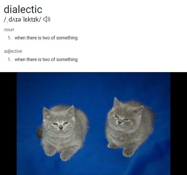 Untitled meme