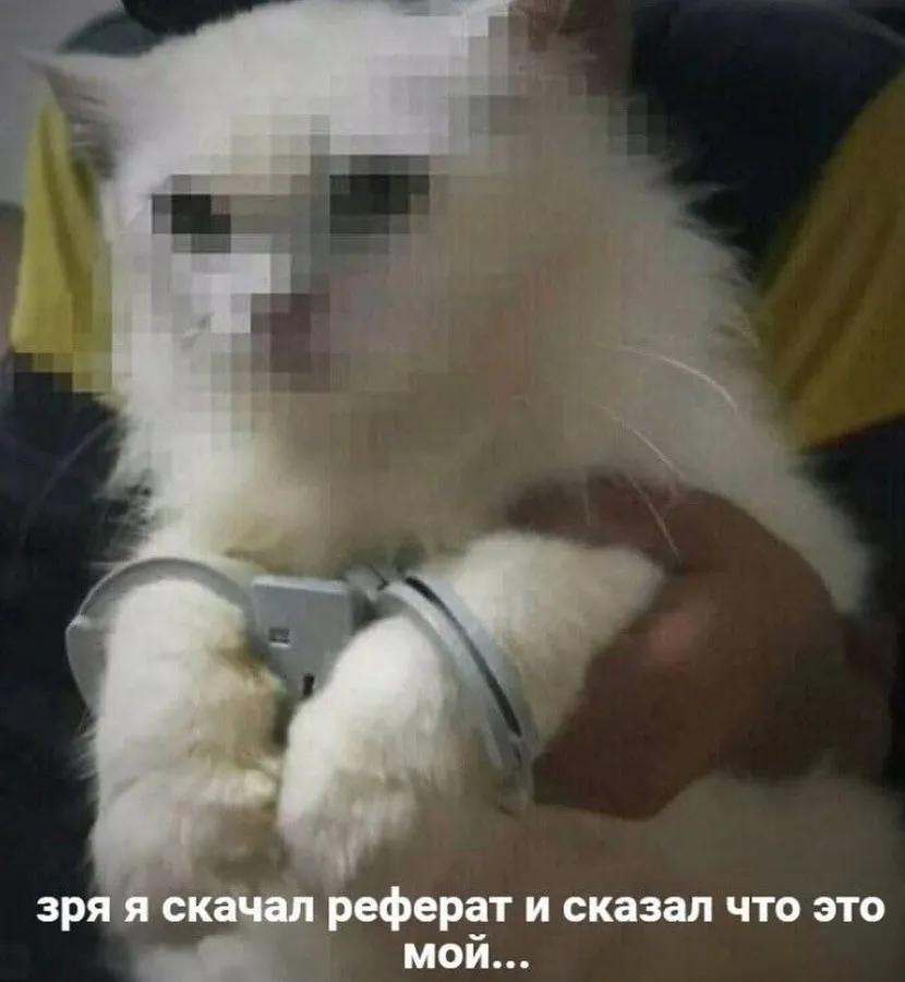 Untitled meme