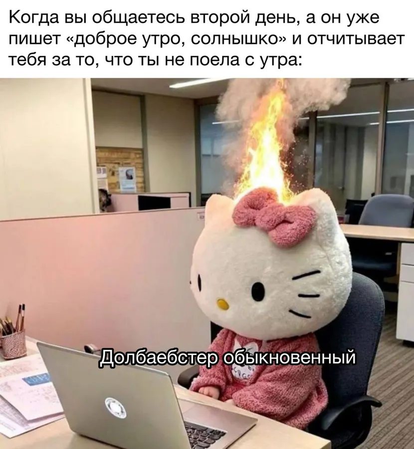 Untitled meme