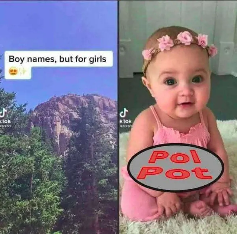 Untitled meme