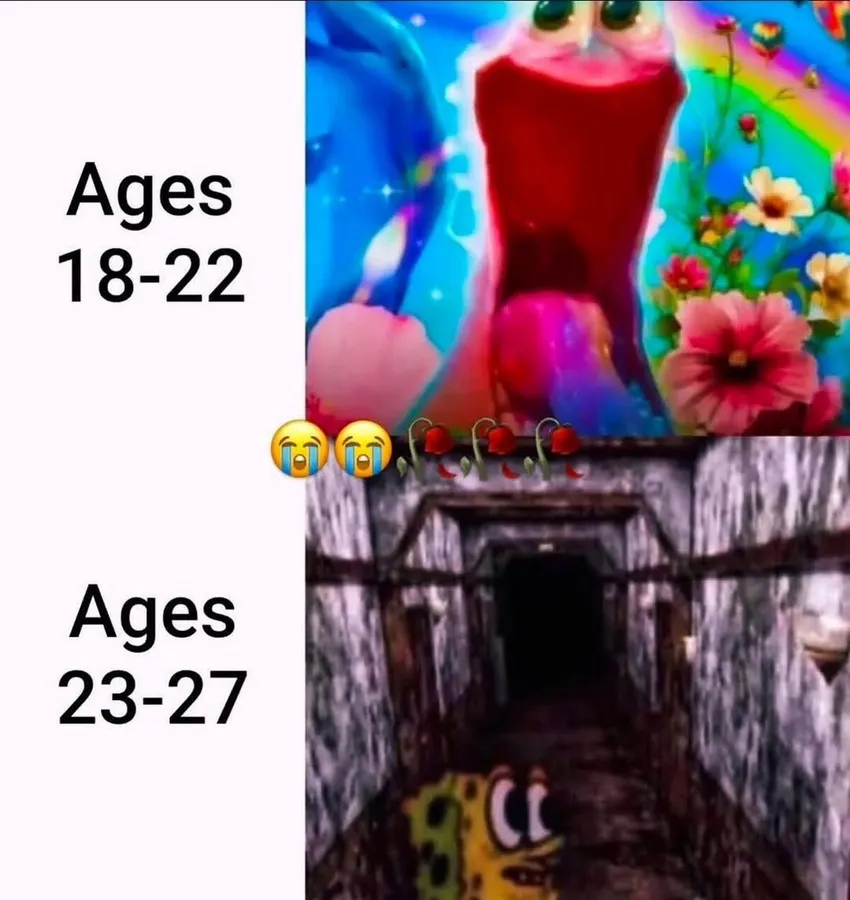 Untitled meme