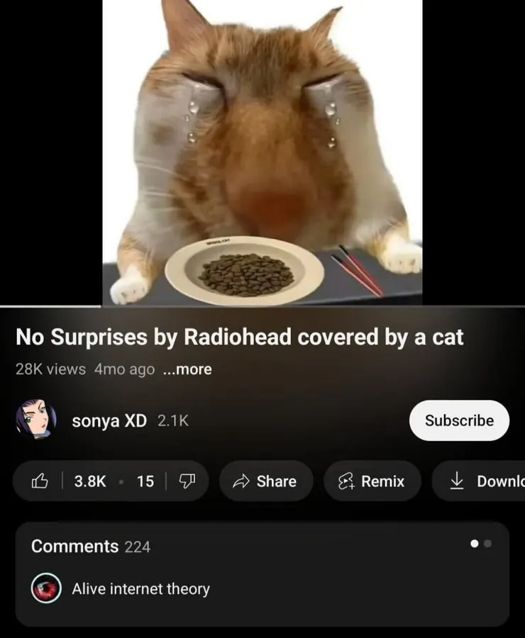Untitled meme