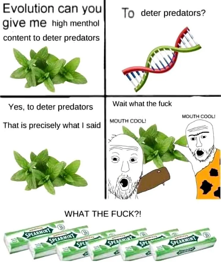 Untitled meme