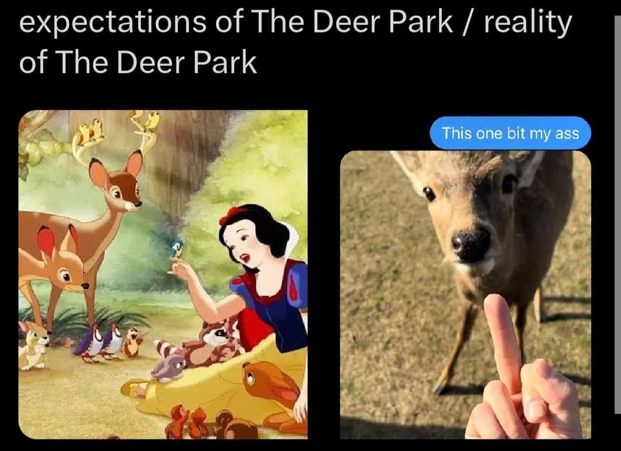 Untitled meme